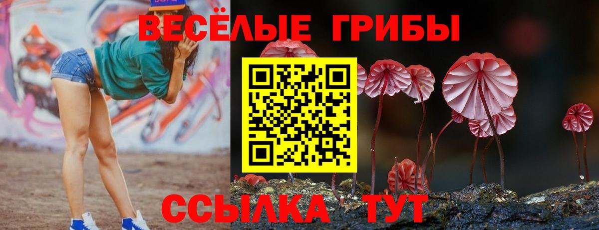 Миасс  Псилоцибиновые грибы прущие грибы  Вход с VPN 